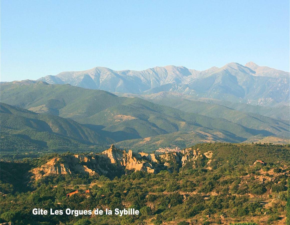 Gite Des Orgues De La Sybille Agave Canigou Buitenkant foto